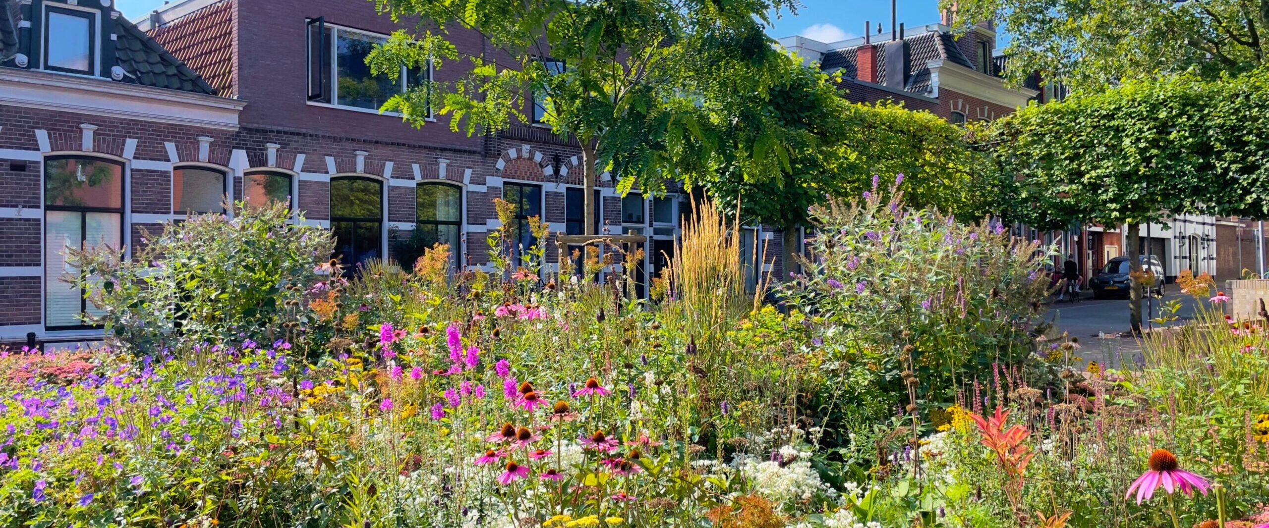 idiv-Urban green oasis for climate adaptation and biodiversity, city gardening (Photo: René Notenbomer / Adobe Stock)