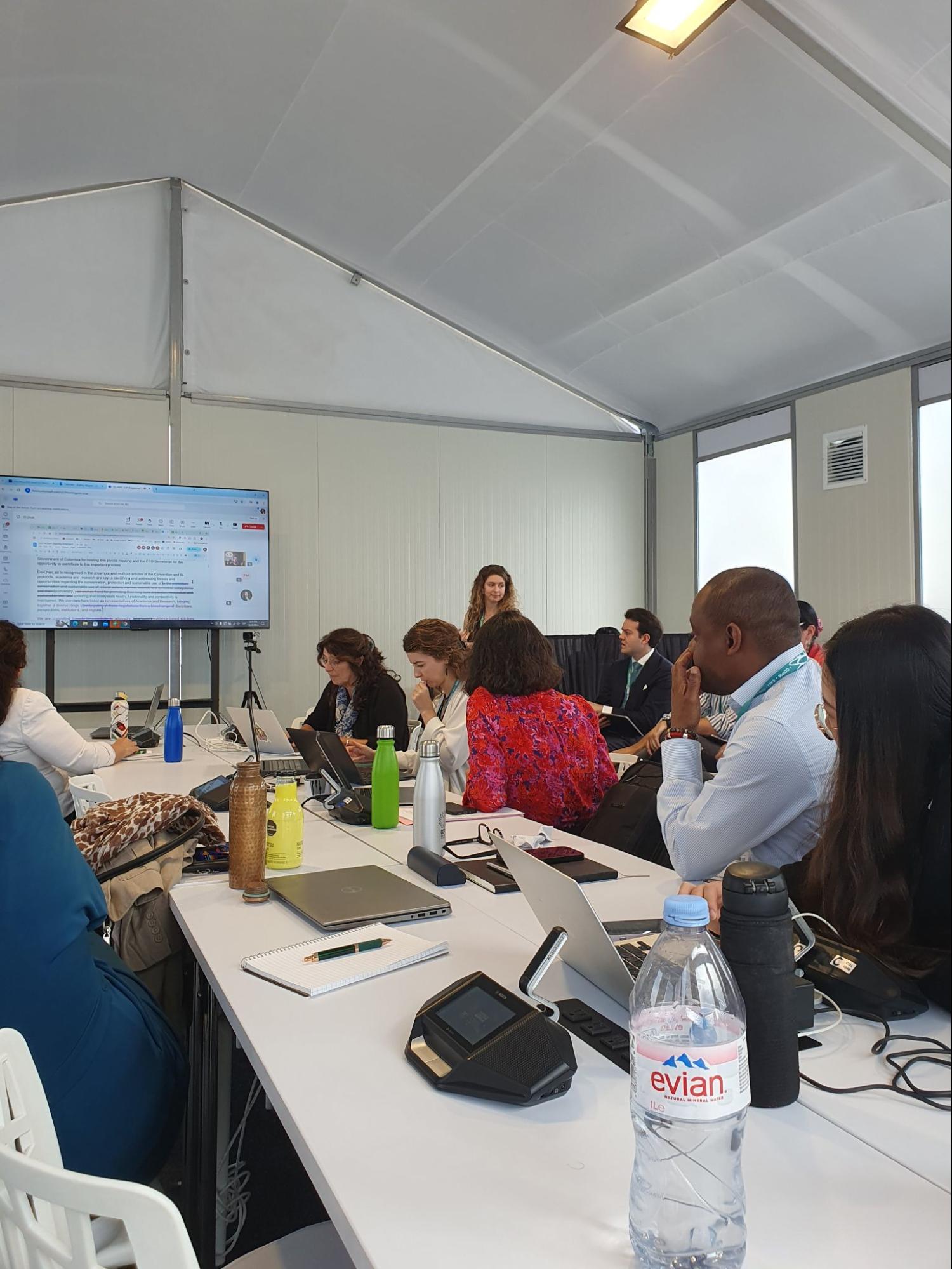 idiv-Discussion on the opening statement of the academia and research caucus