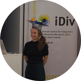idiv-
