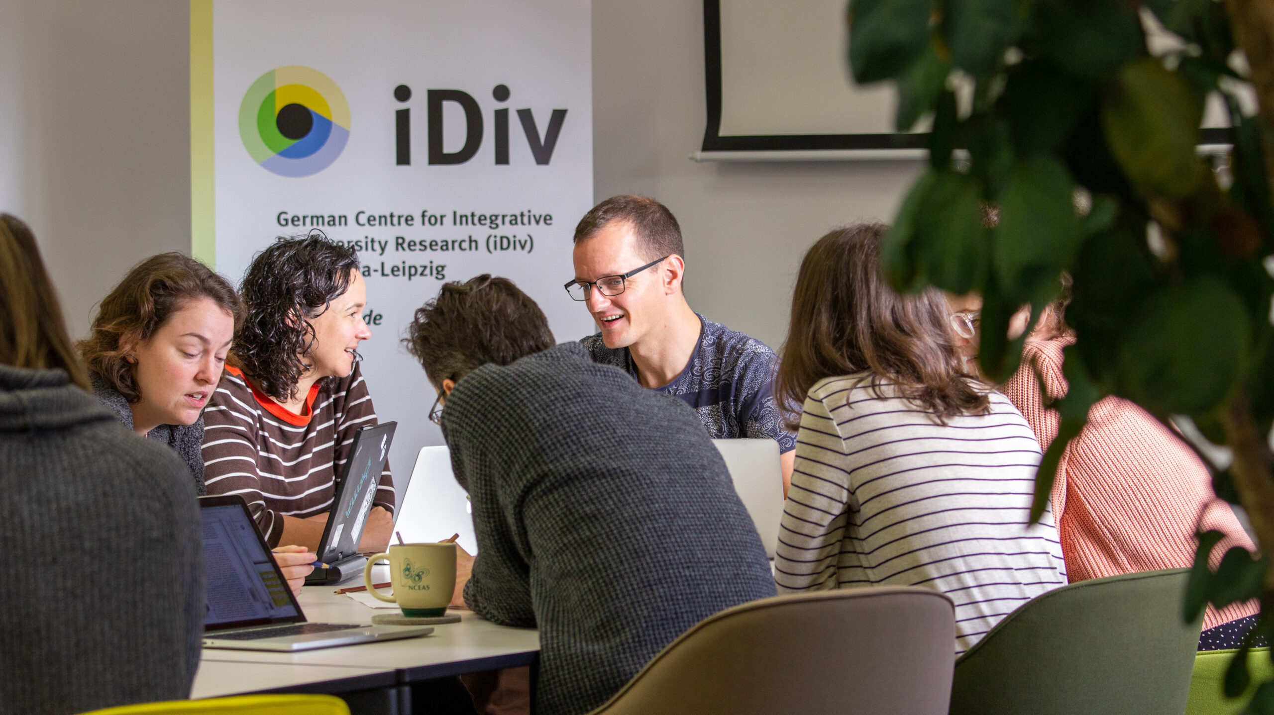 idiv-