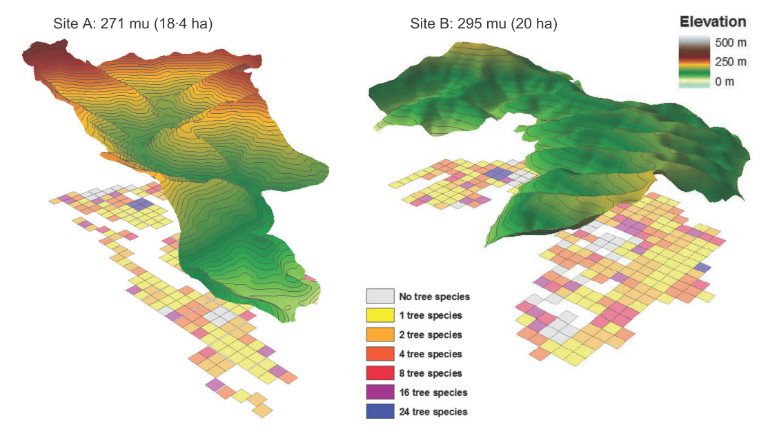 idiv-Illustration of the two BEF-China sites (Site a and B)