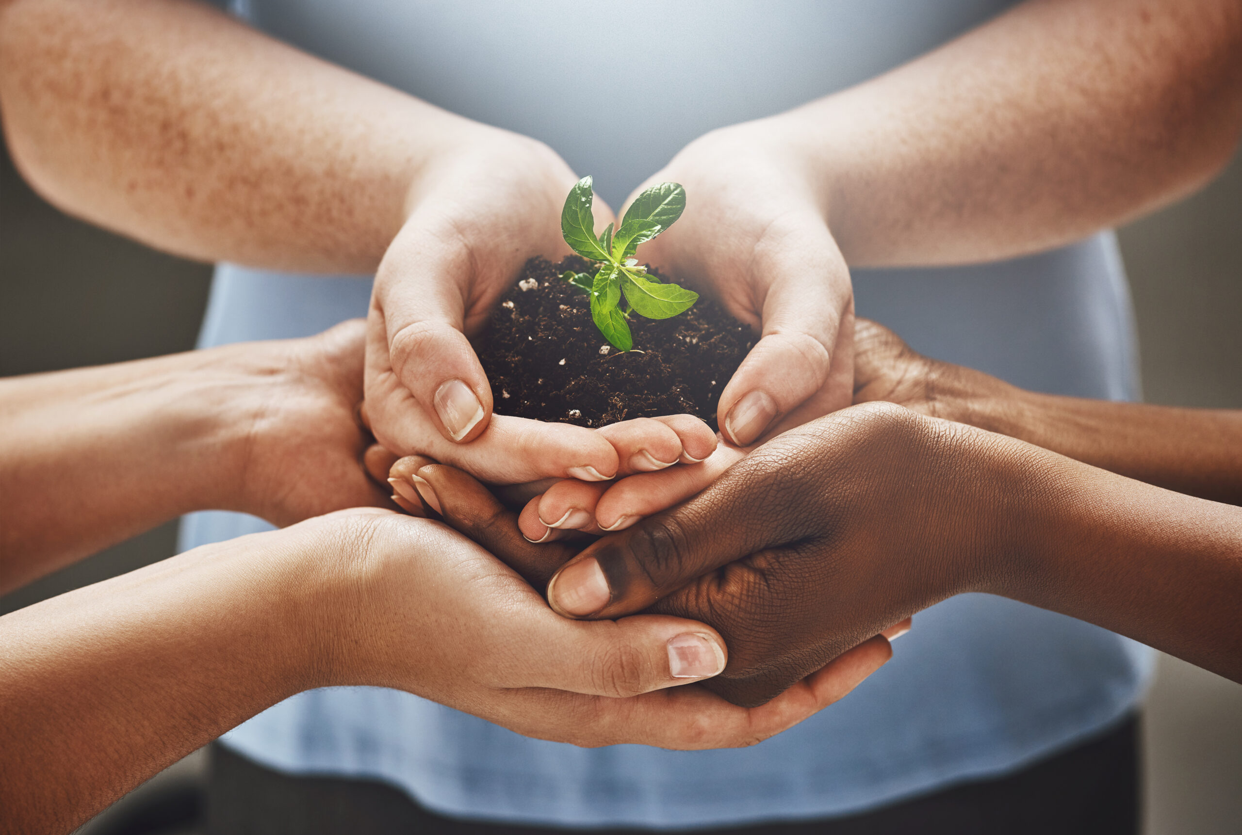 idiv-Shot of a group of hands holding a plant growing out of soil (Adobe Stock)