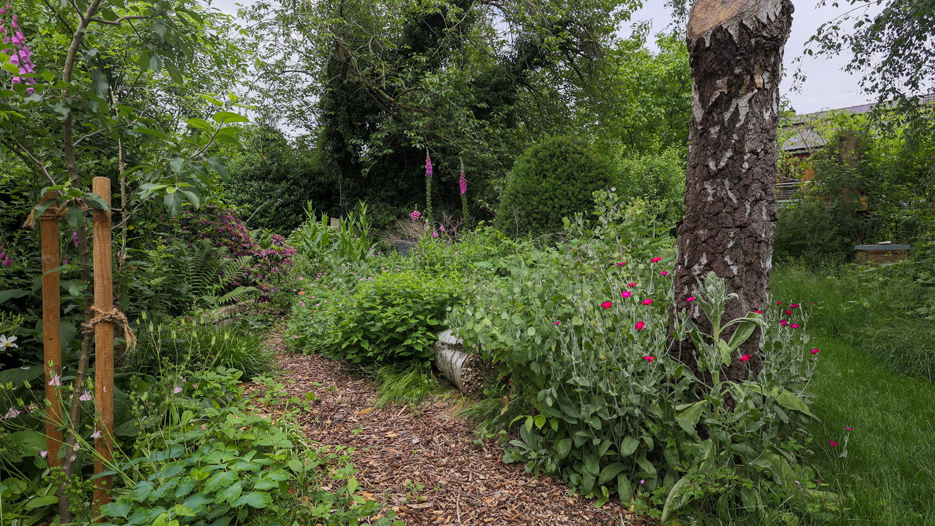 idiv-