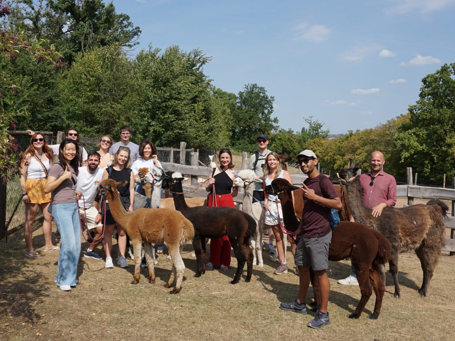 idiv-Group picture with alpacas (Photo: Laura Lattus)