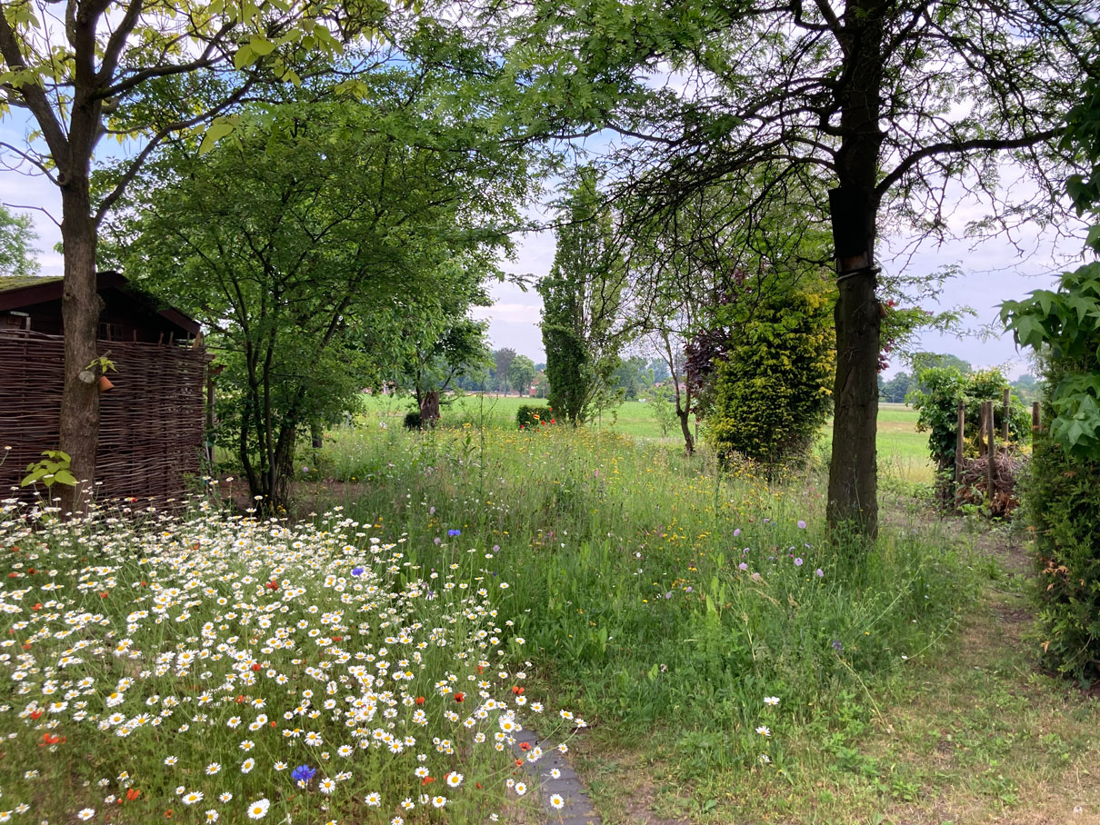 idiv-