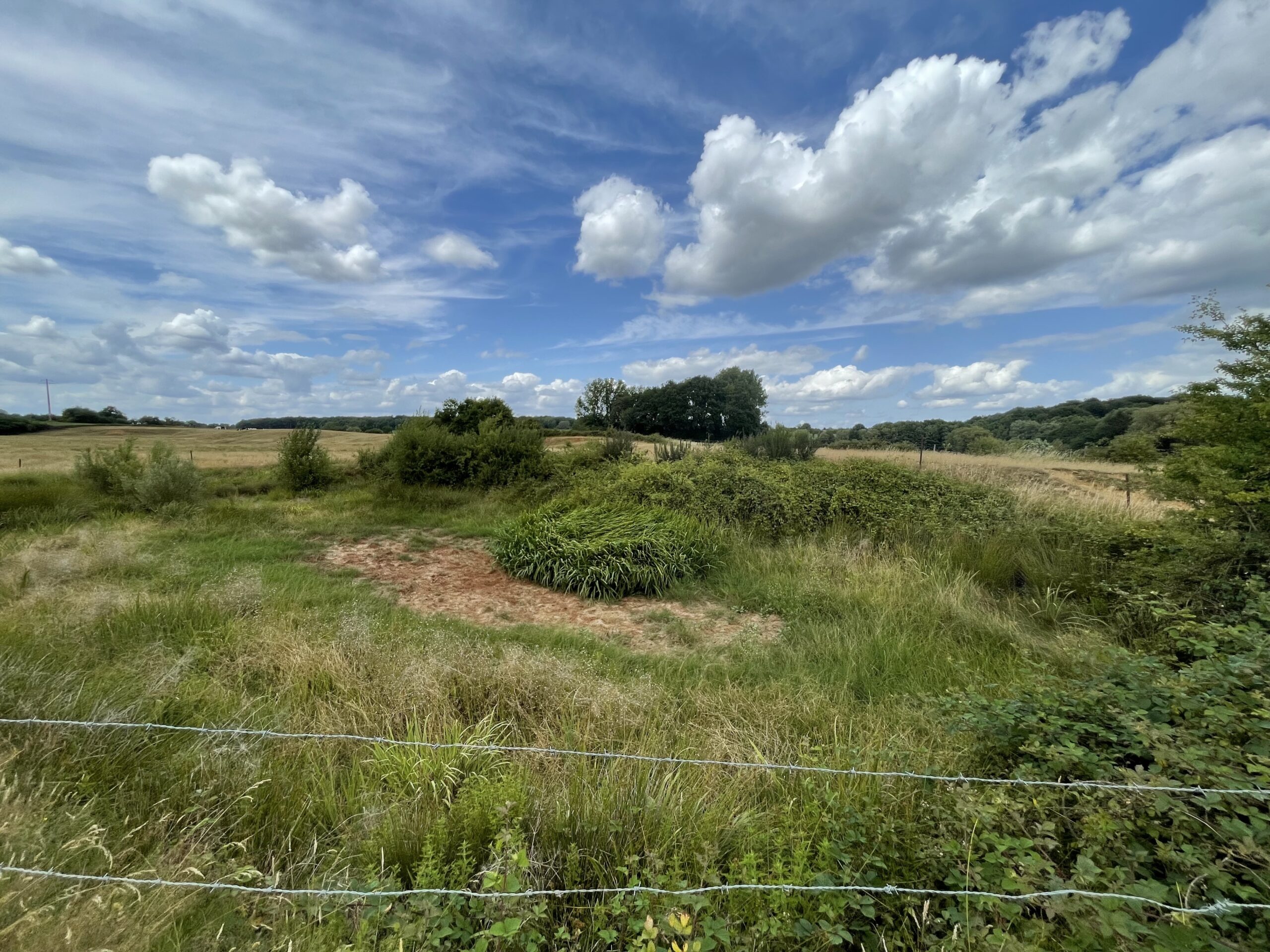 idiv-What was previously a pond is now completely dried up. The picture is taken across a barbed-wire fence.