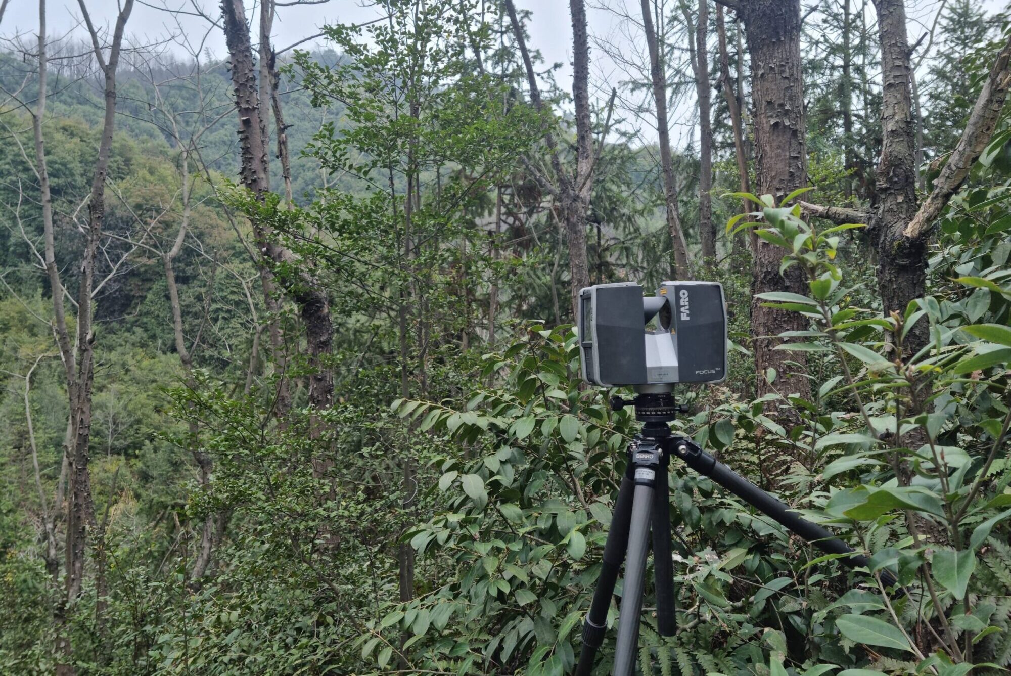 idiv-Laserscanner in the BEF-China tree diversity experiment
