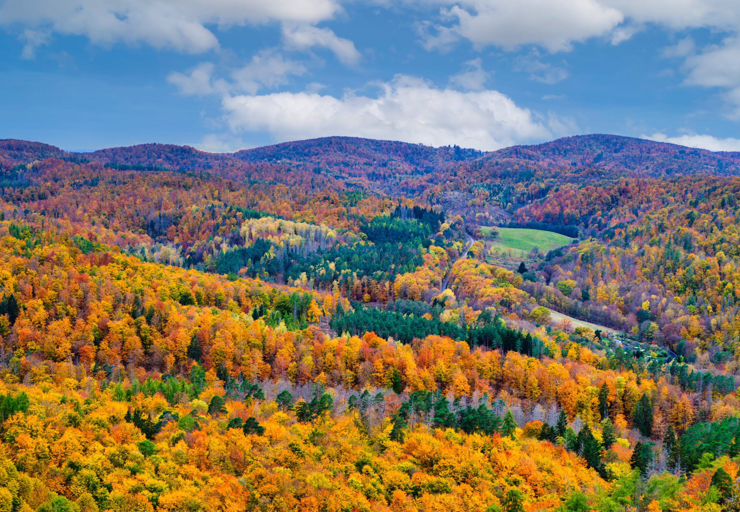 idiv-Aerial view of lush autumn forest surrounding Eisenach and Wartburg Castle, Germany