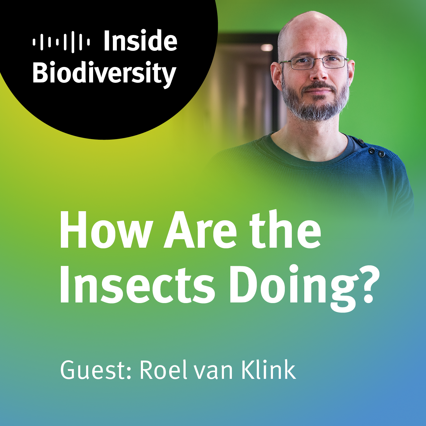 idiv-Cover of the iDiv podcast episode 13 How Are the Insects Doing? with guest Roel van Klink