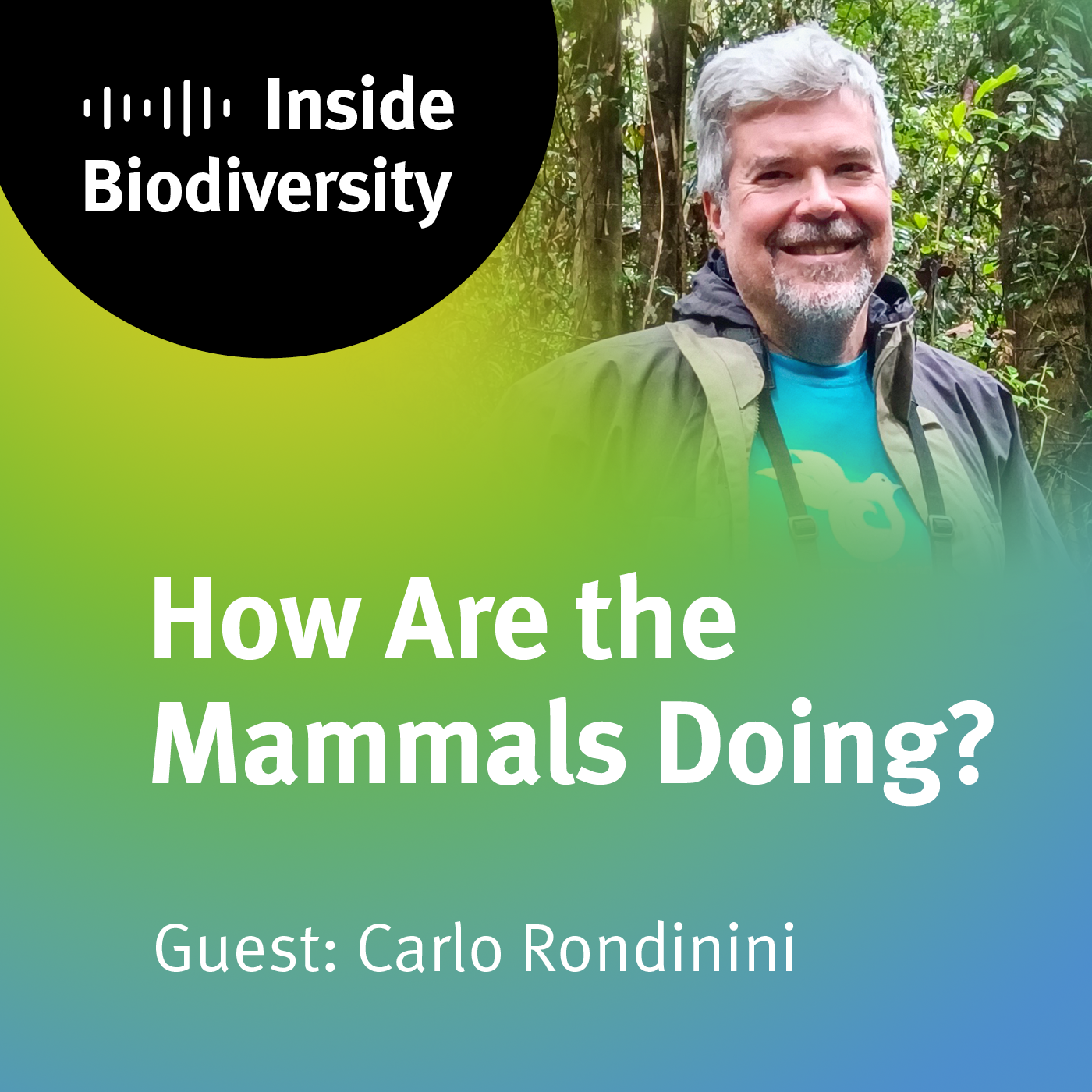 idiv-Cover of the iDiv podcast episode 14 How Are the Mammals Doing? with guest Carlo Rondinini