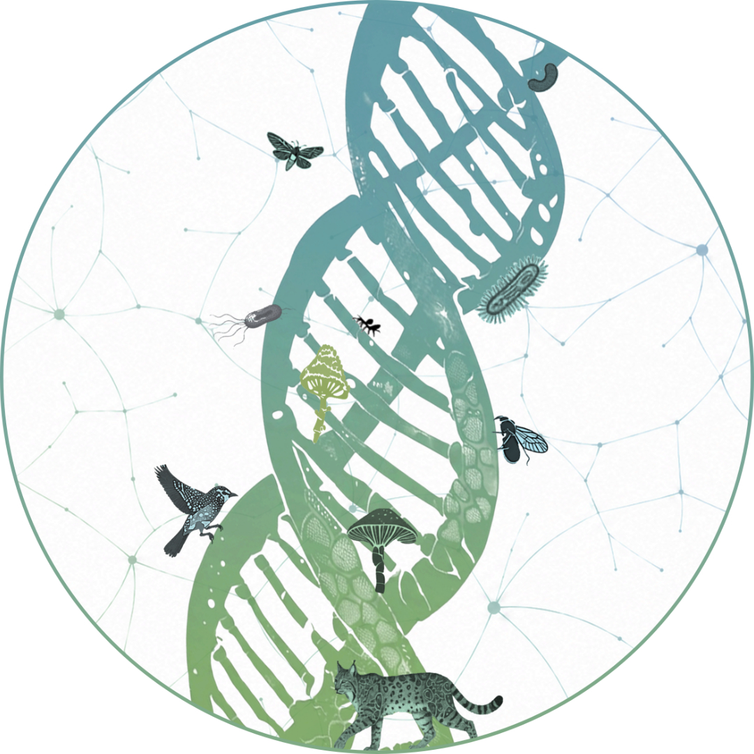 idiv-Figure representing DNA , plants, animals and fungi