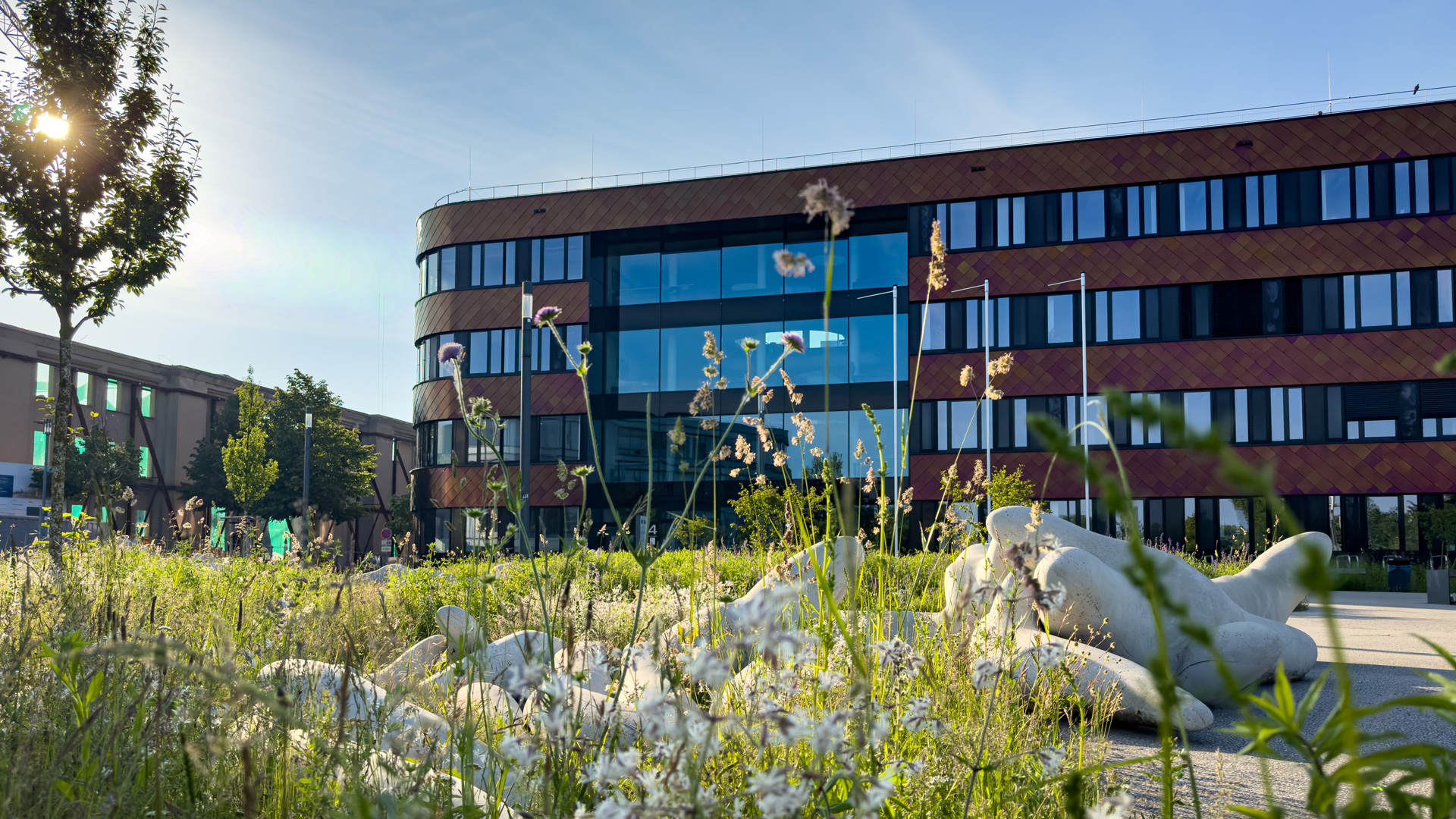 idiv-White sculptures lying on grass in front of a modern multi-story building with large windows