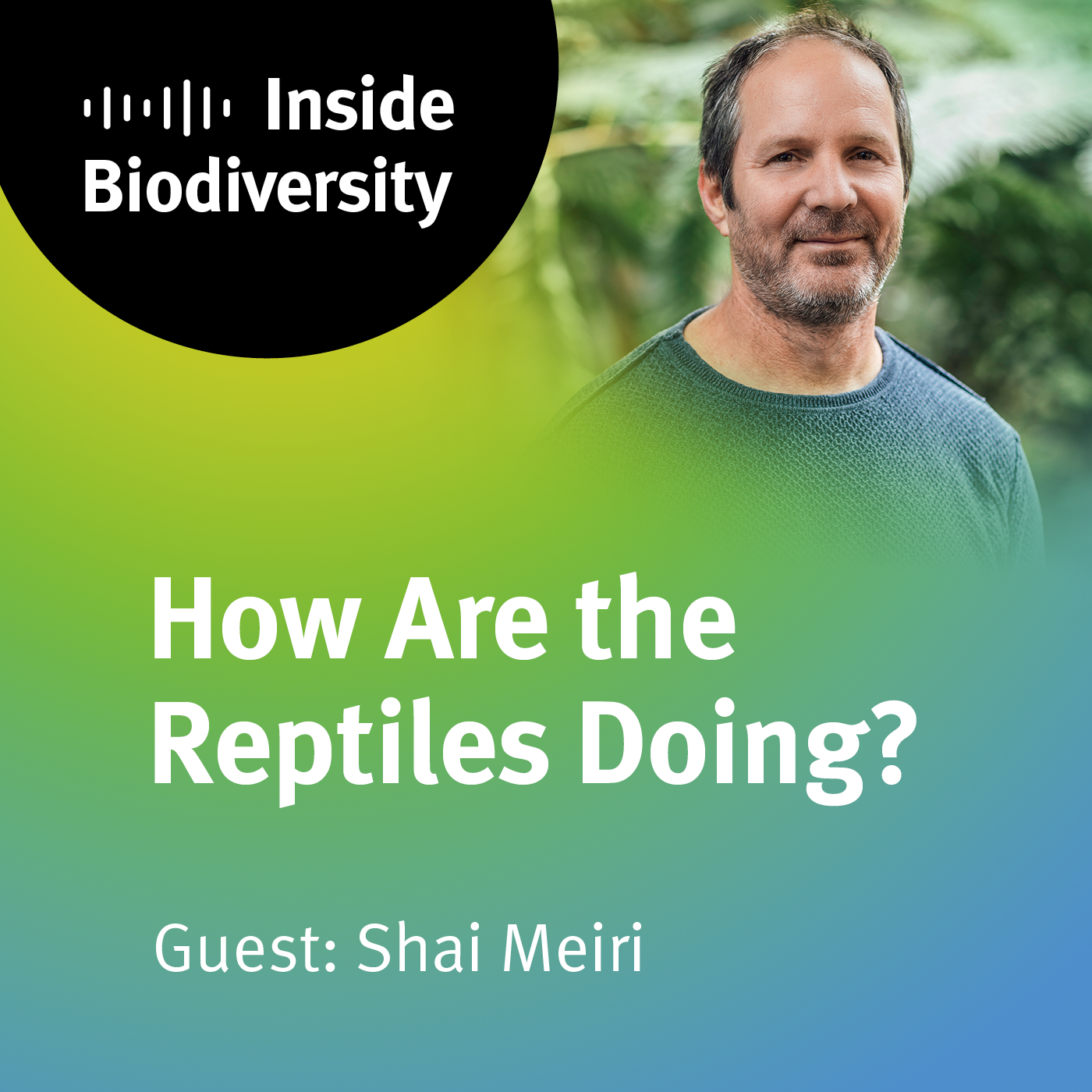 idiv-Inside Biodiversity podcast episode “How are the Reptiles Doing? Guest: Shai Meiri”