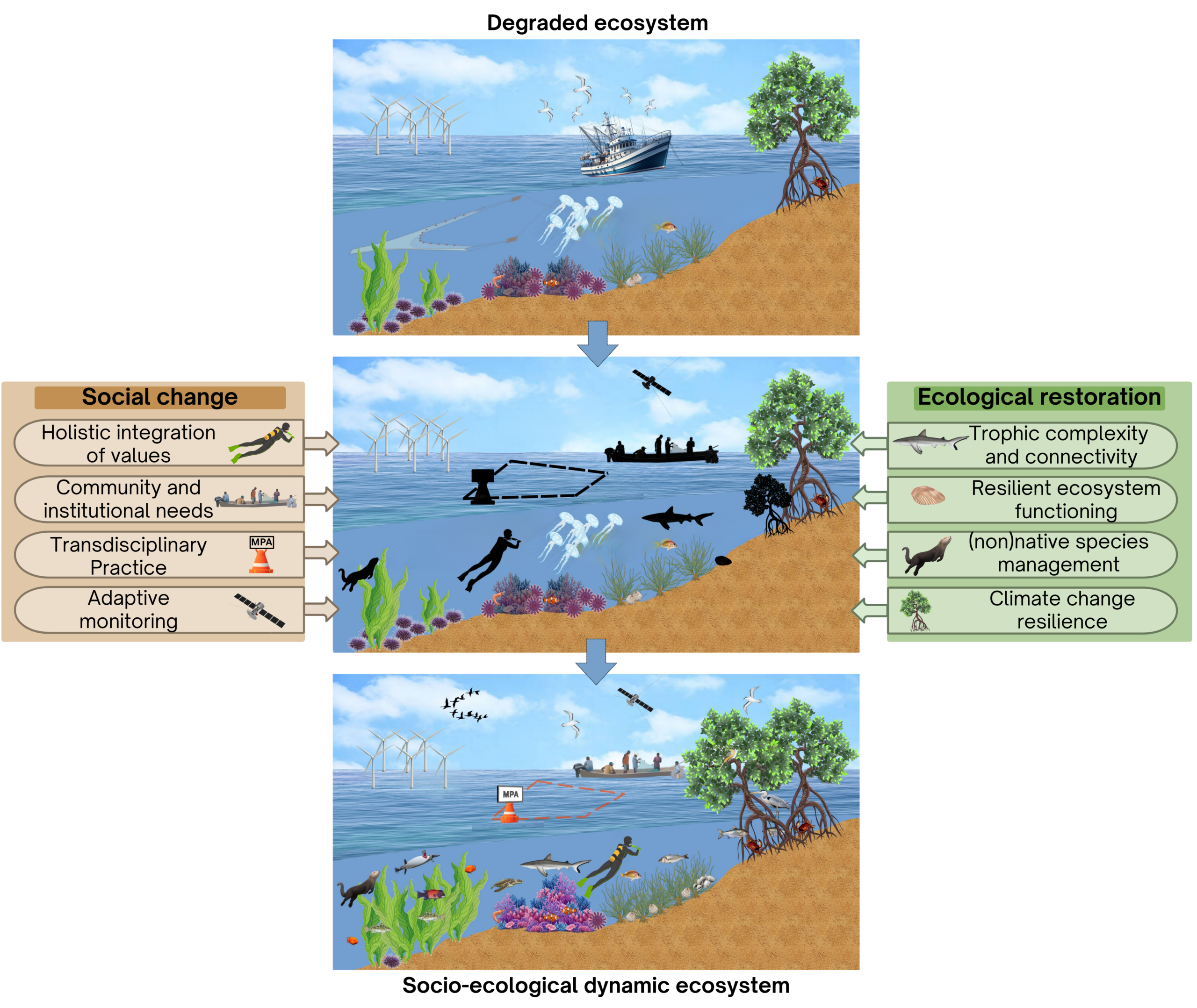 idiv-Figure showing 8 principles of Marine Rewilding