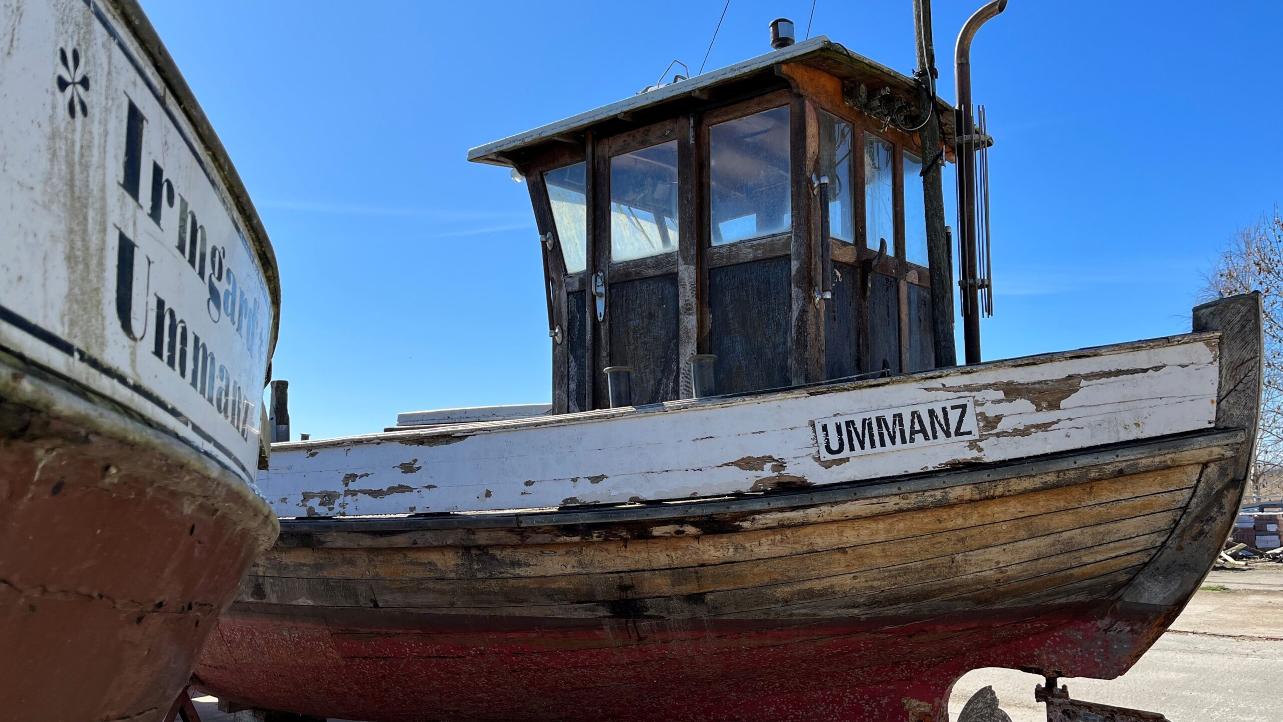 idiv-PM_Historic fishery collapse holds lessons for the present