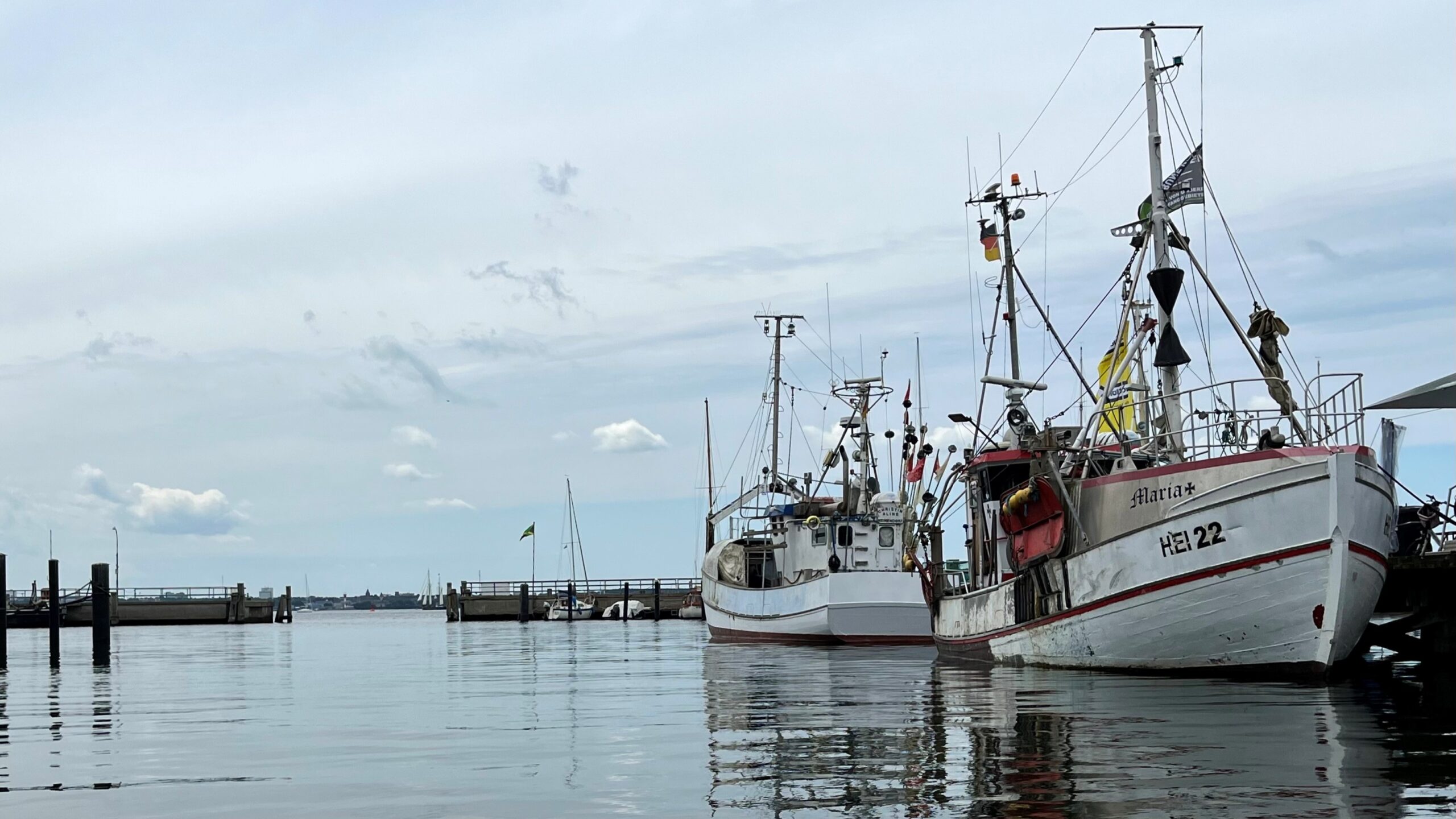 idiv-PM_Historic fishery collapse holds lessons for the present