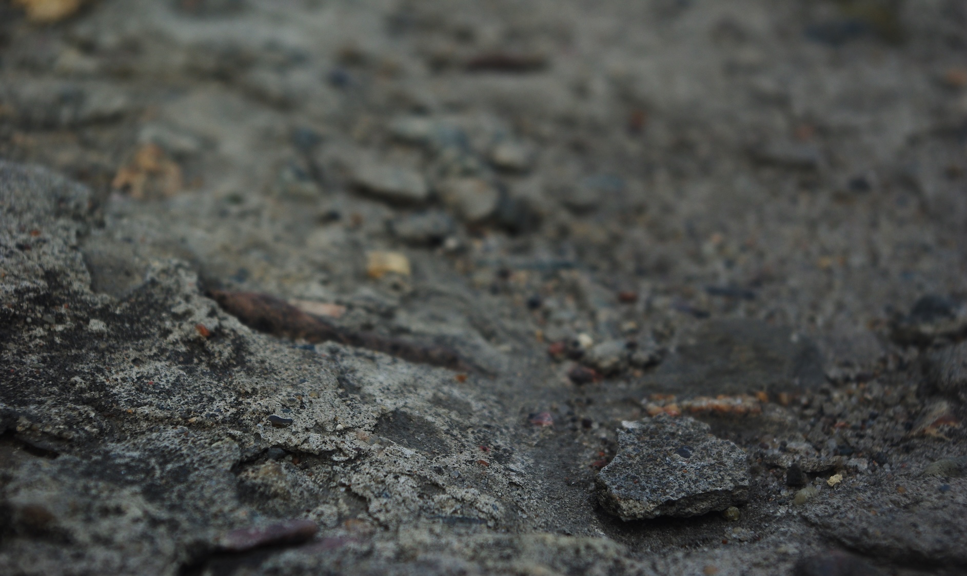 idiv-Close-up of dark, dry soil.